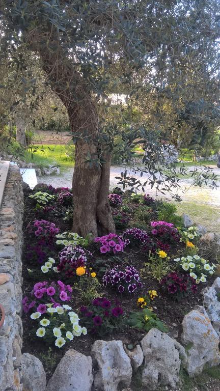 Vacanze Al Minci Giurdignano Exterior foto